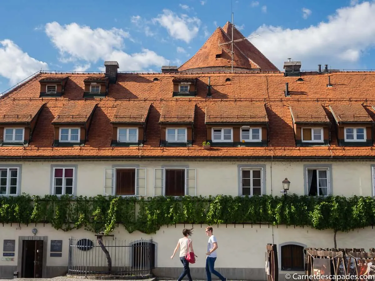 maison-vieille-vigne-maribor