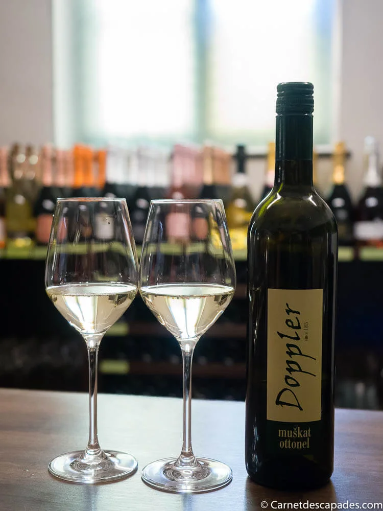 maribor-degustation-vin-maison-vieille-vigne