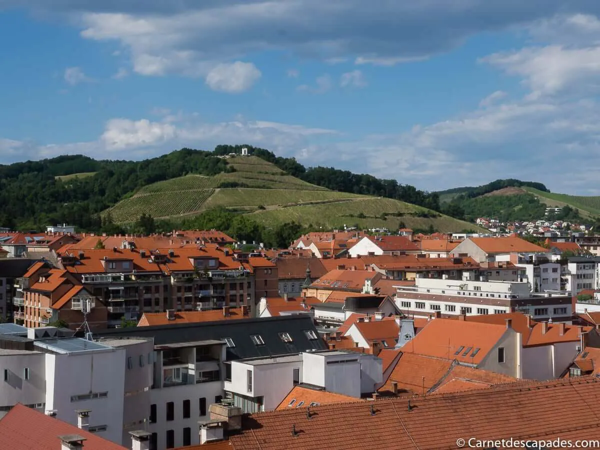 vue-clocher-cathedrale-maribor