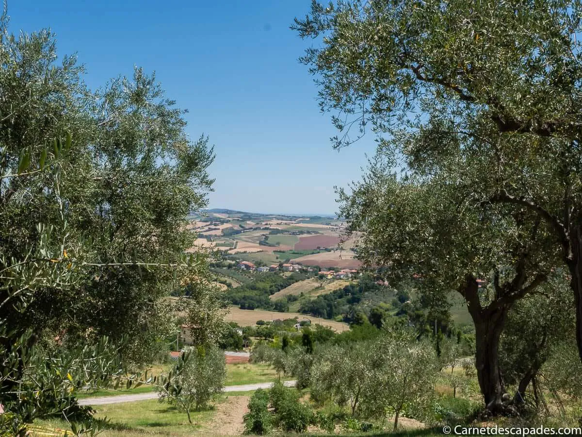 arriere-pays-emilie-romagne-italie