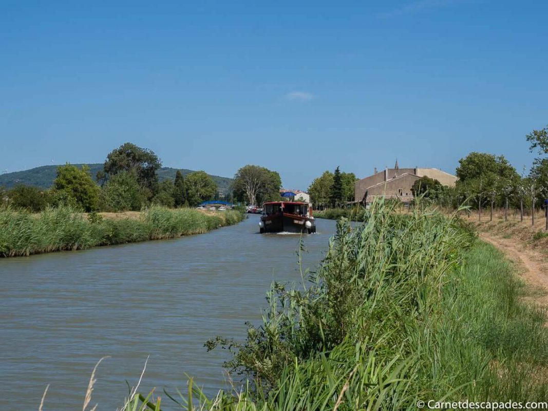 canal-midi-ete