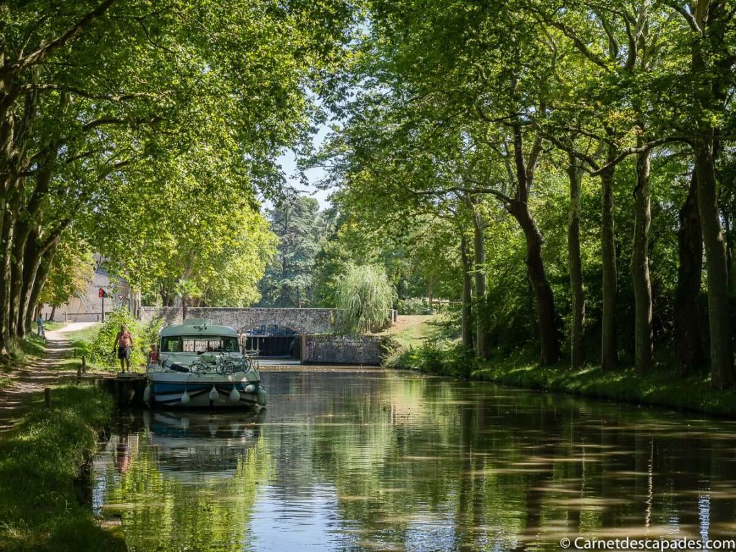 canal-midi-platanes-bateau