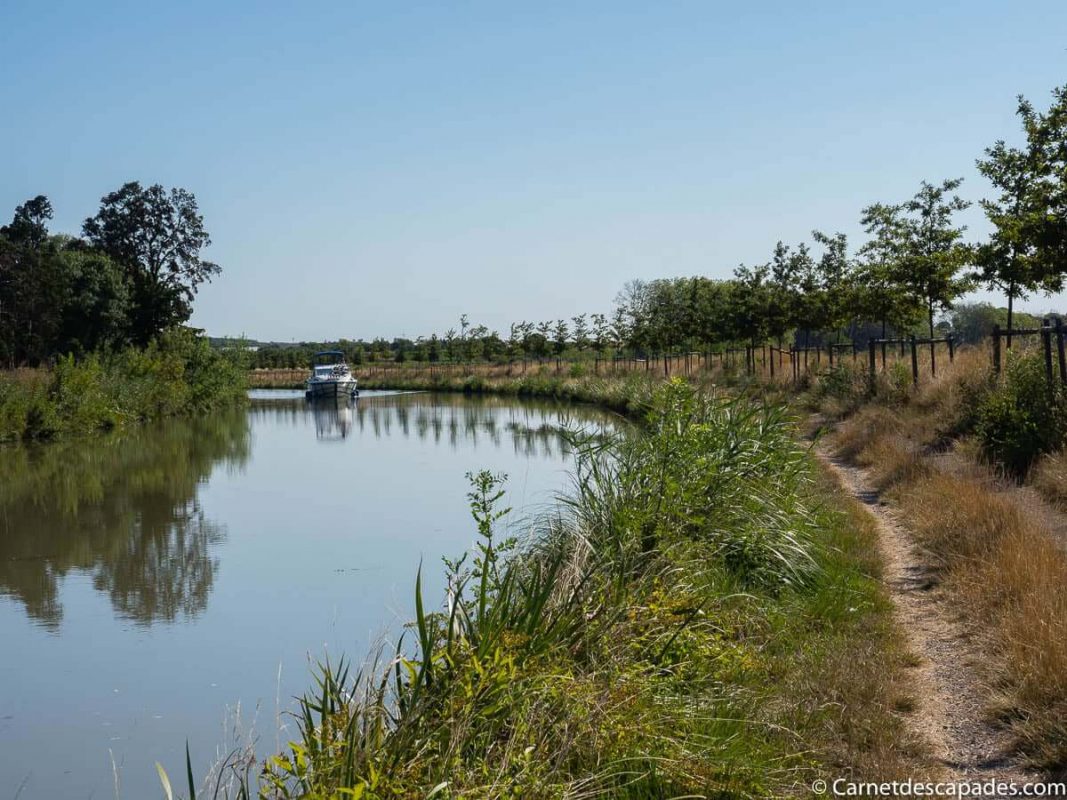 canal-midi-sans-platanes