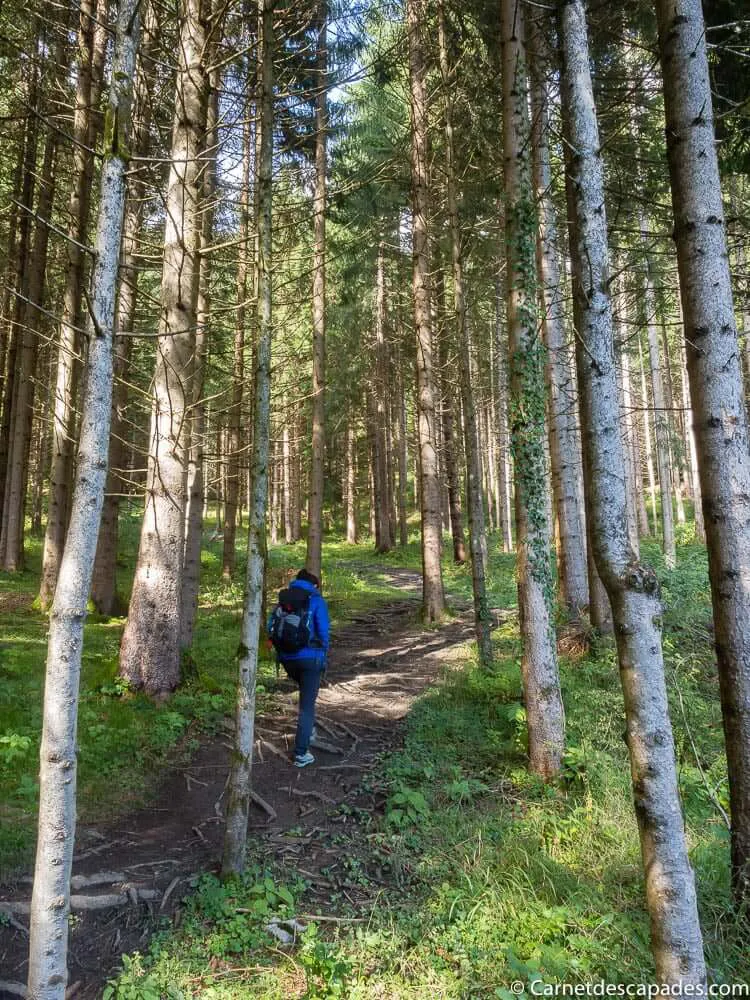 randonnee-foret-parc-naturel-karwendel