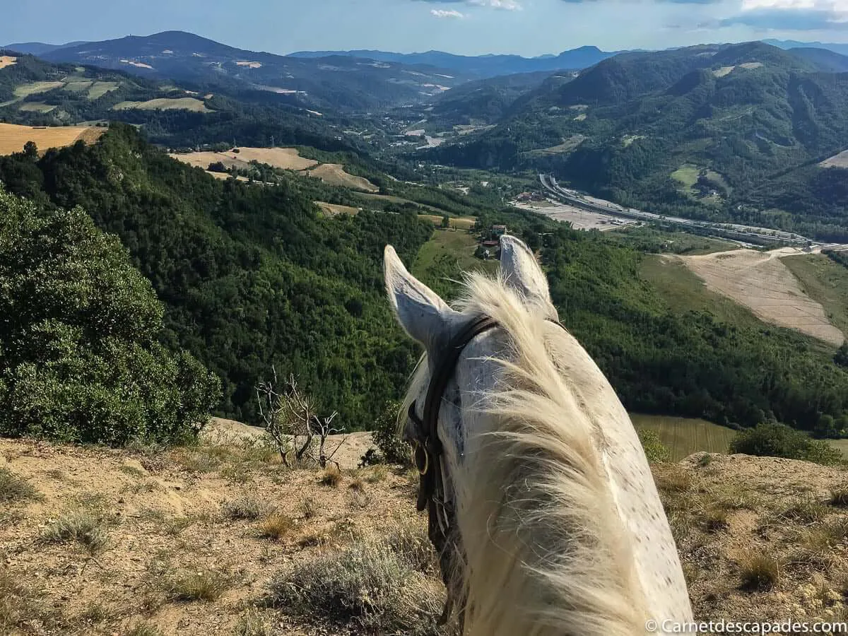 cheval-piccola-raieda