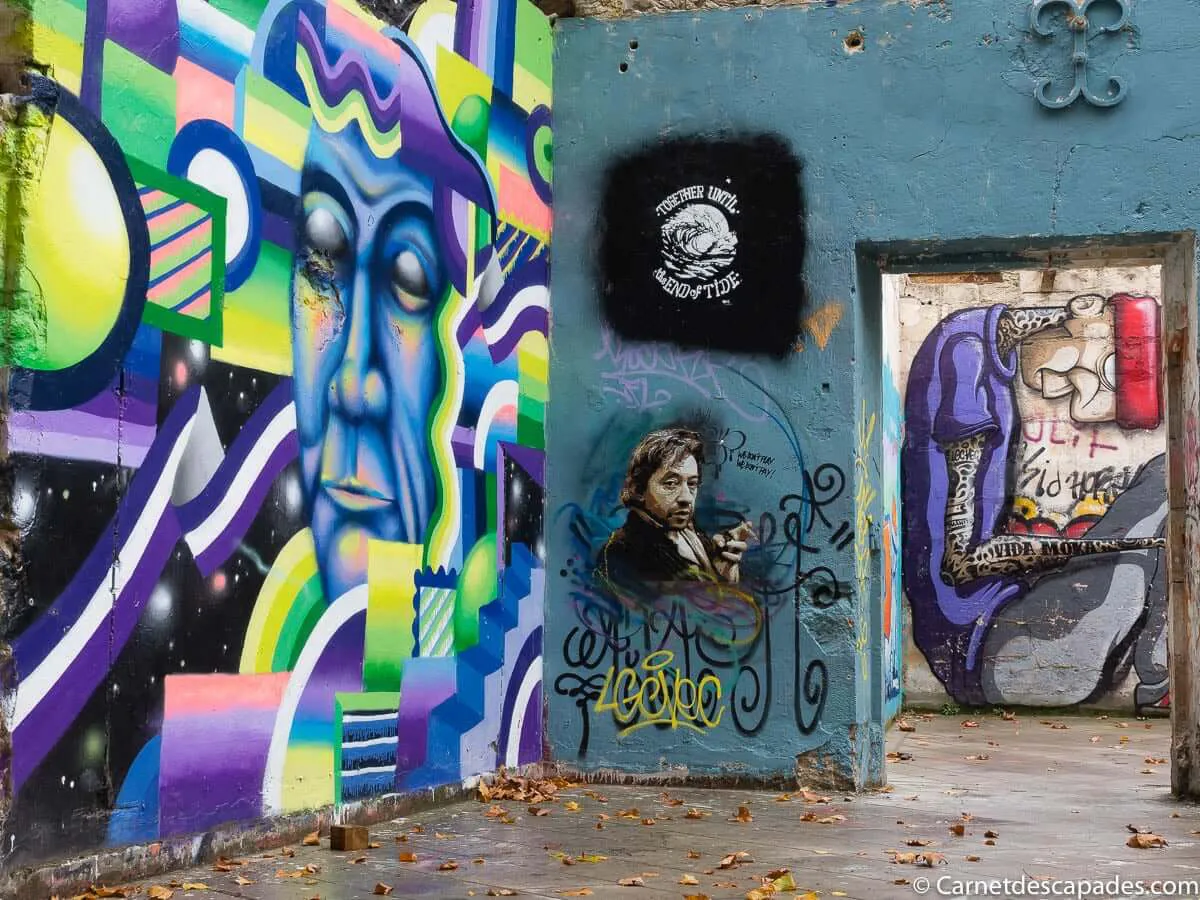 darwin-bordeaux-street-art