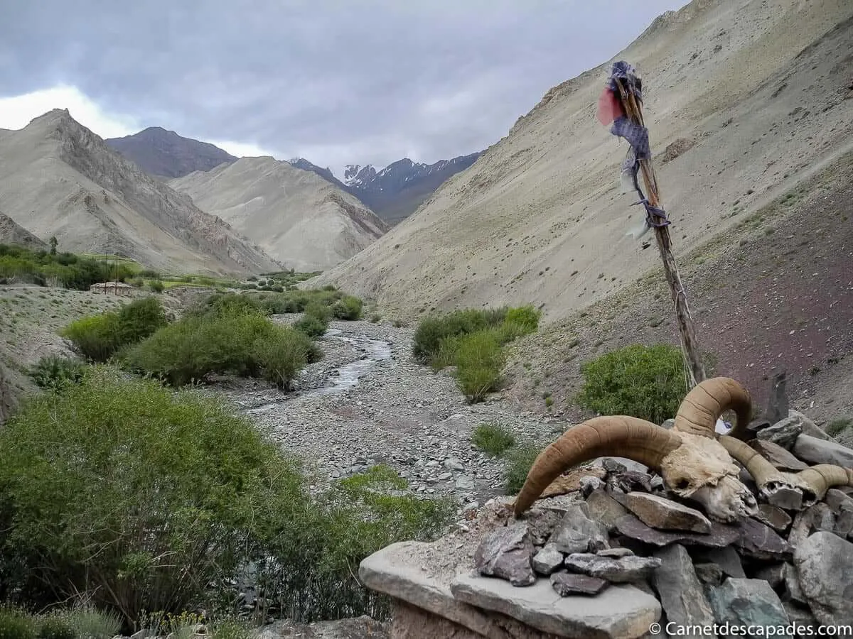 crane-bouc-ladakh