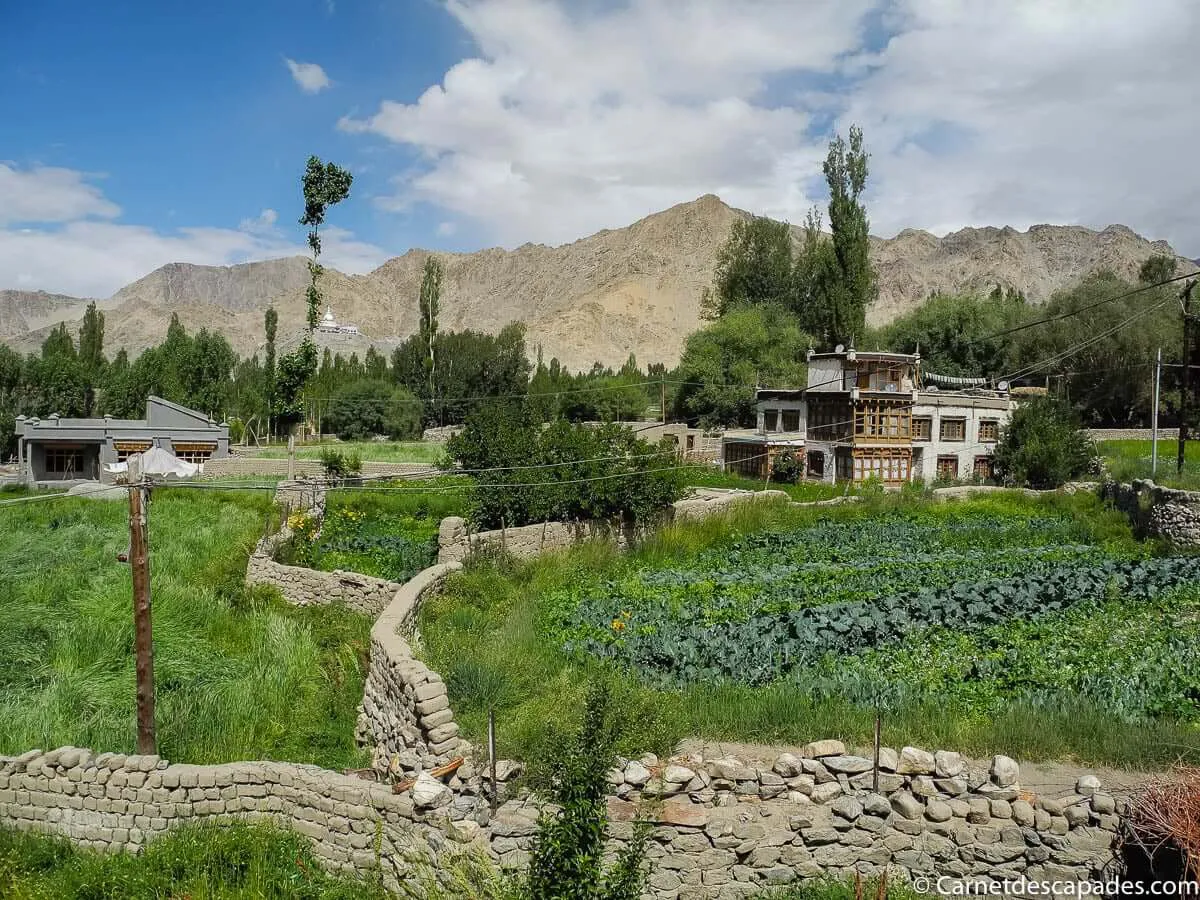 green-villa-leh-vue