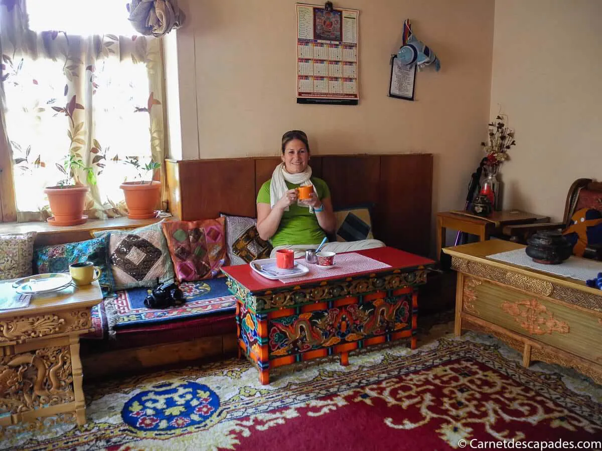 guest-house-green-villa-leh
