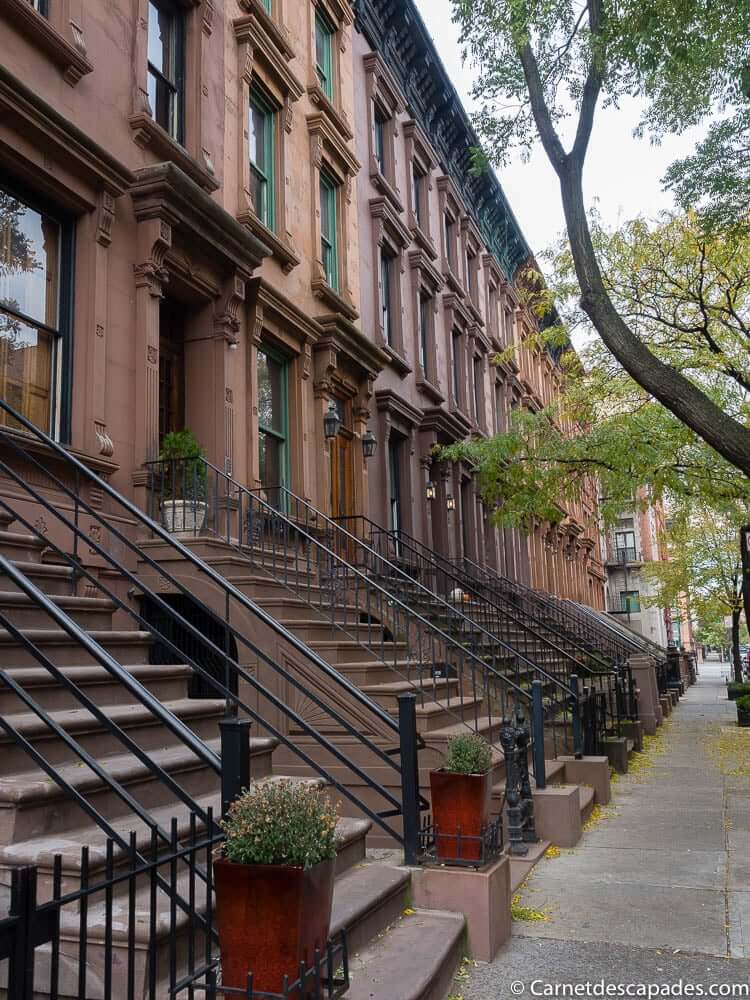 harlem-rue-new-york