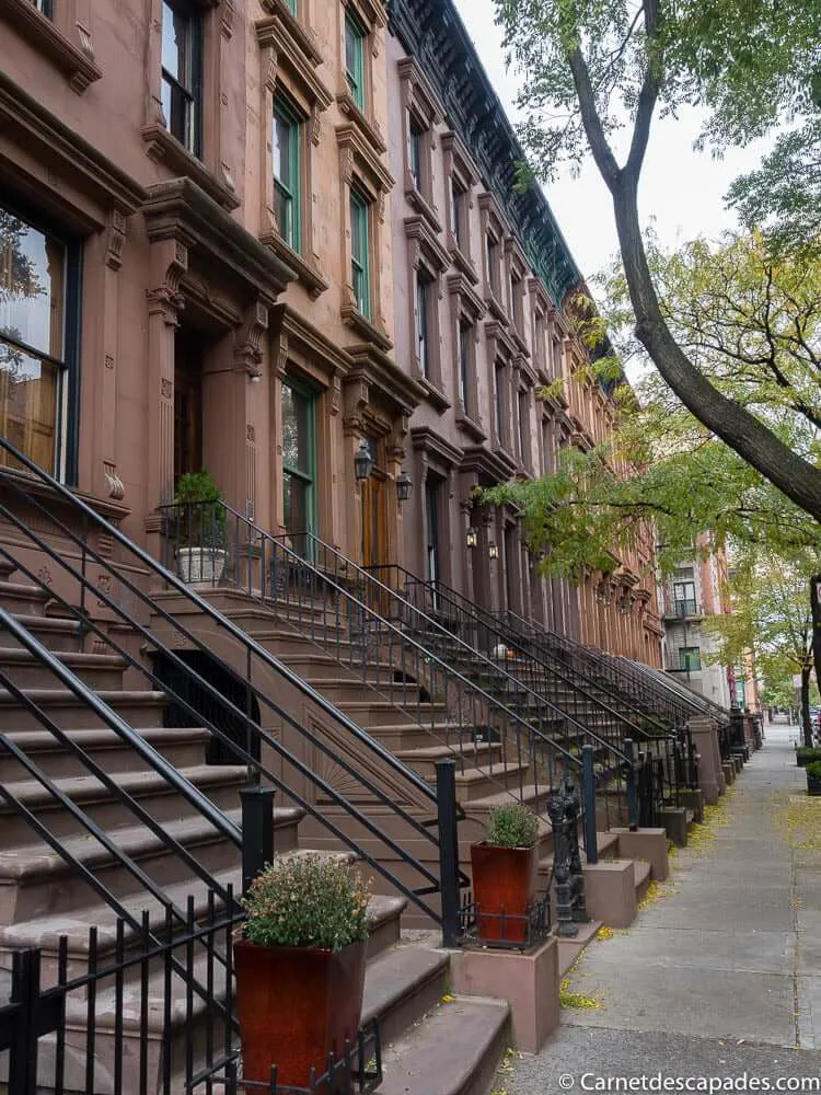 harlem-rue-new-york