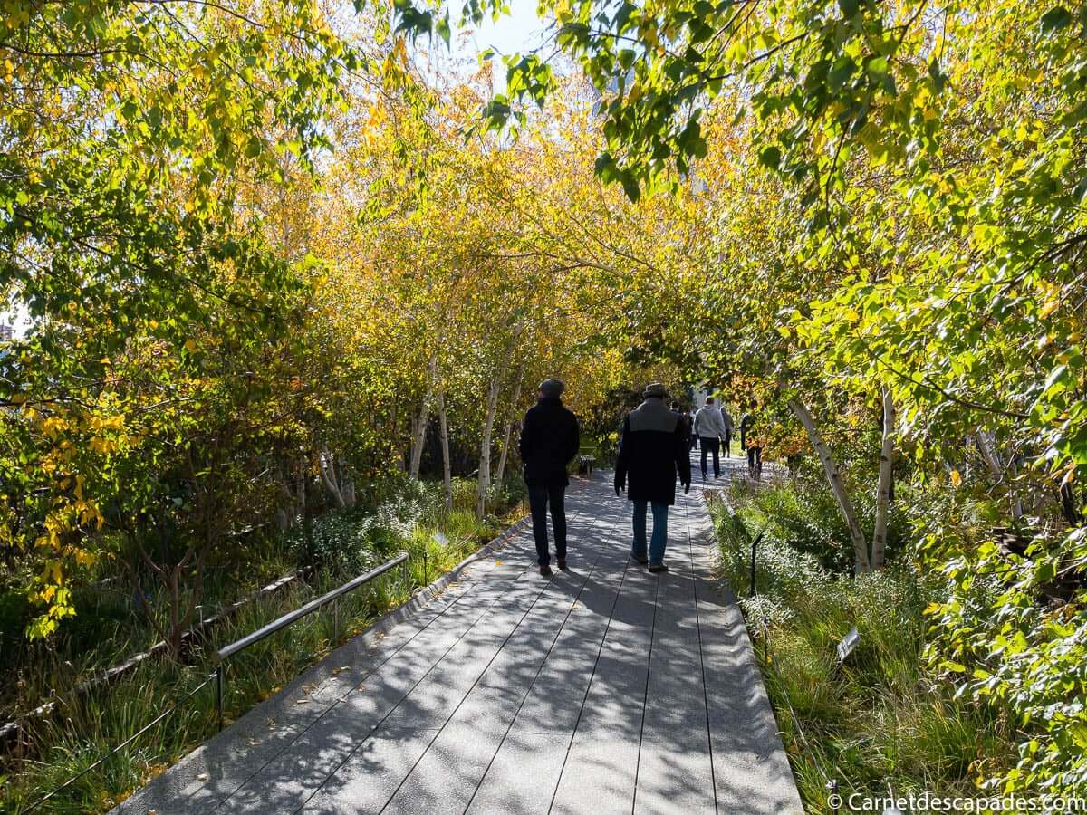 high-line-new-york