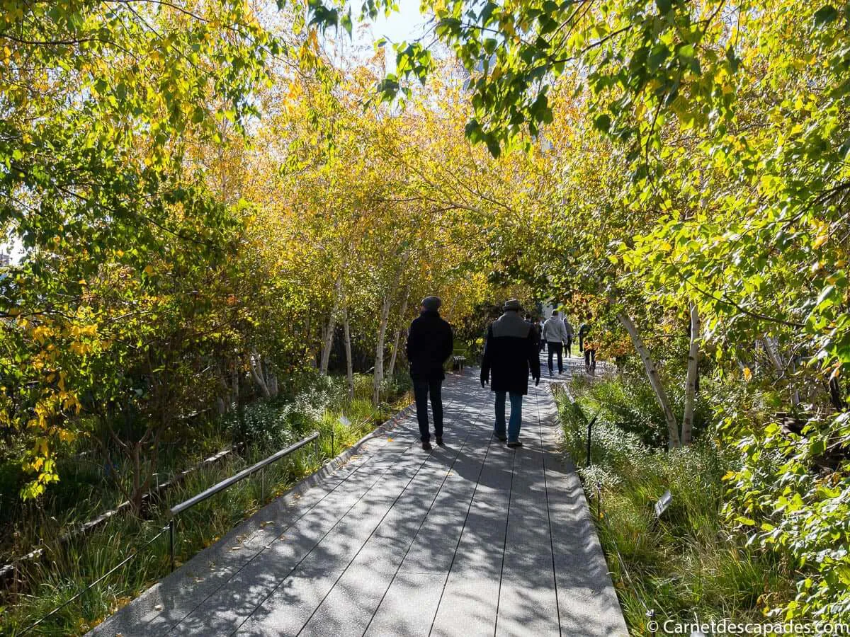 high-line-new-york
