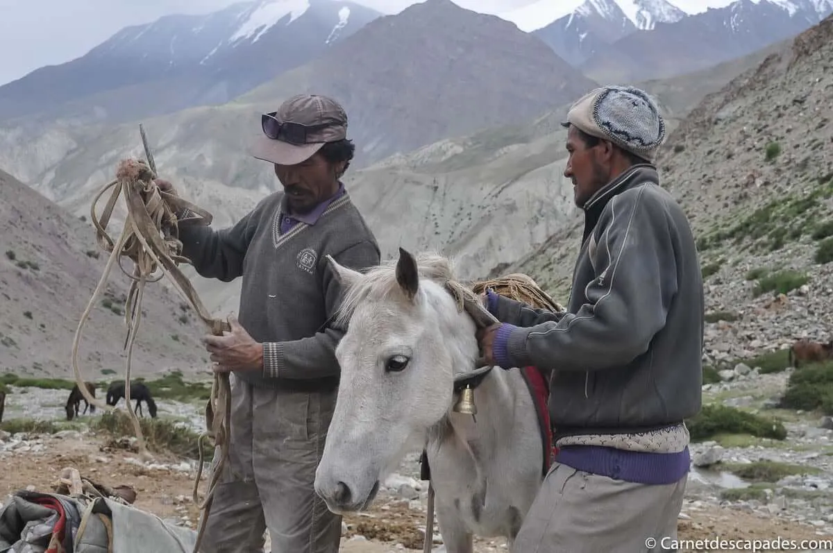 horseman-ladakh