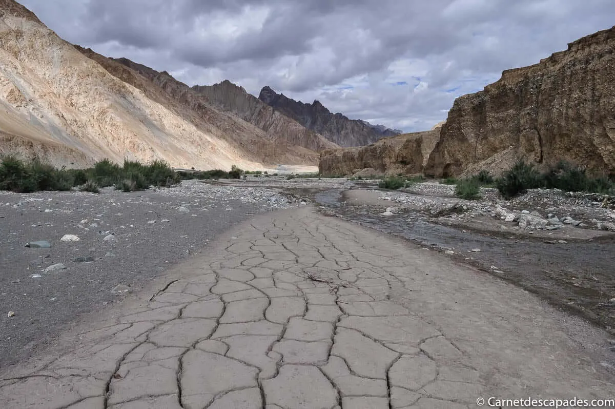ladakh-aride