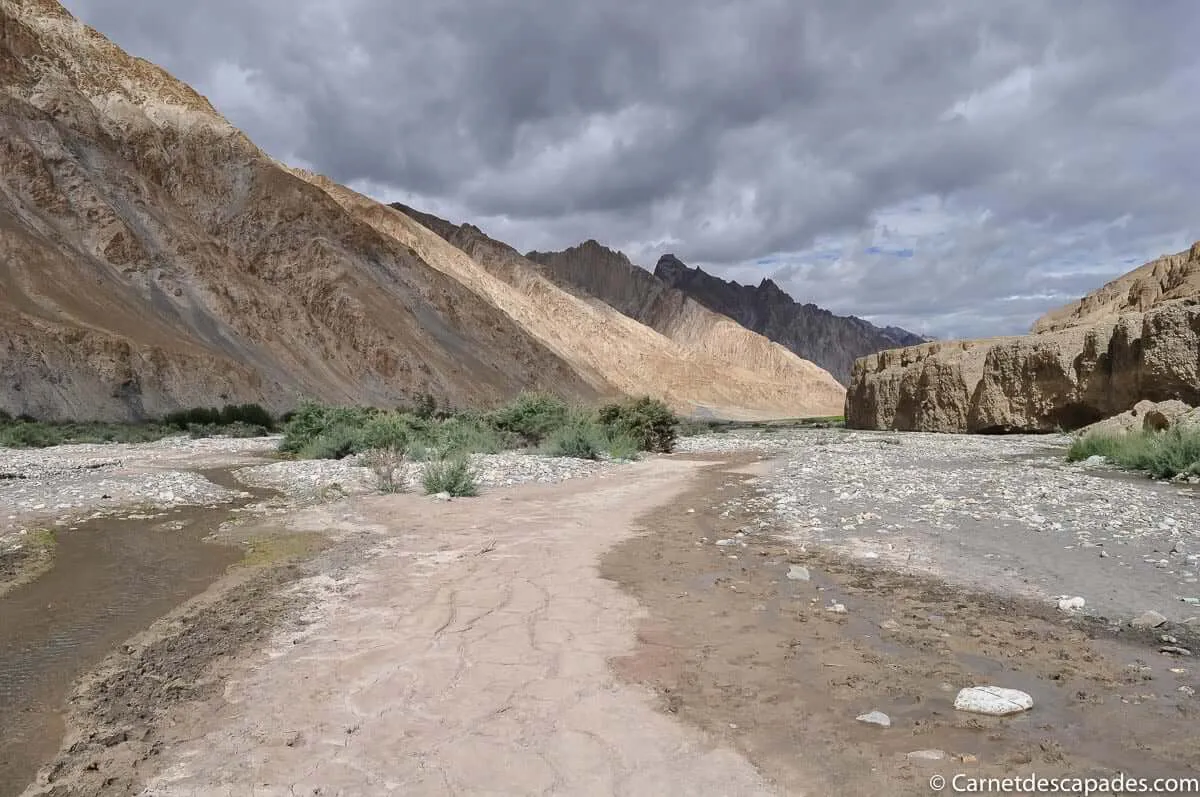 ladakh-desert-altitude