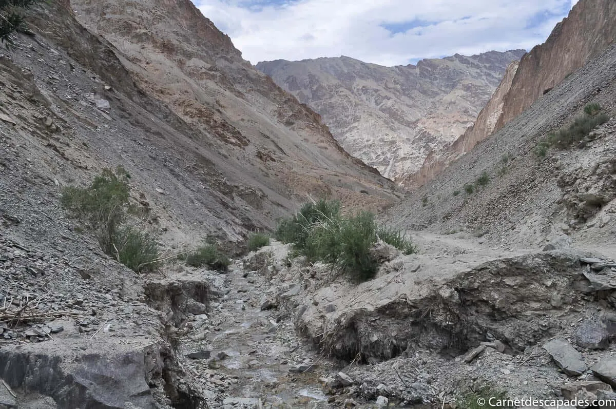 ladakh-gorge