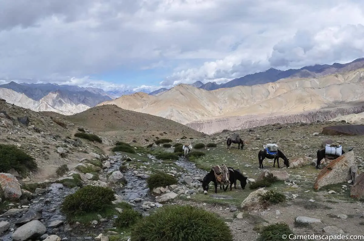 ladakh-montagnes-himalaya