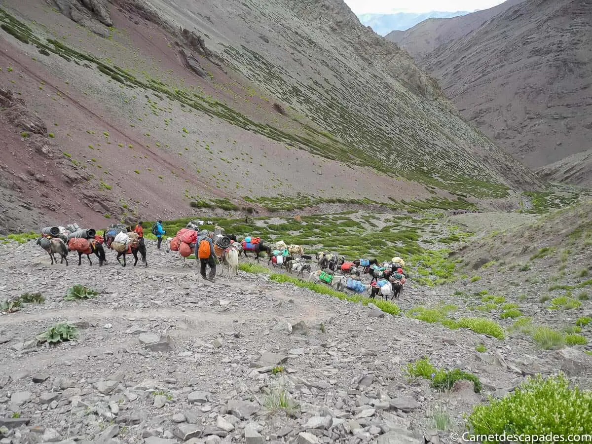 ladakh-trek