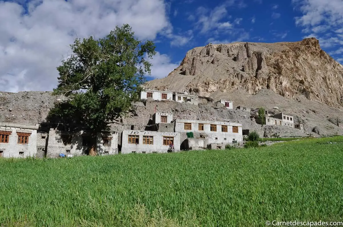 maisons-ladakh