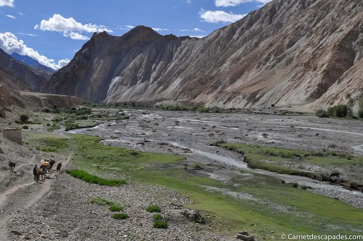 markha-hangkar-trek
