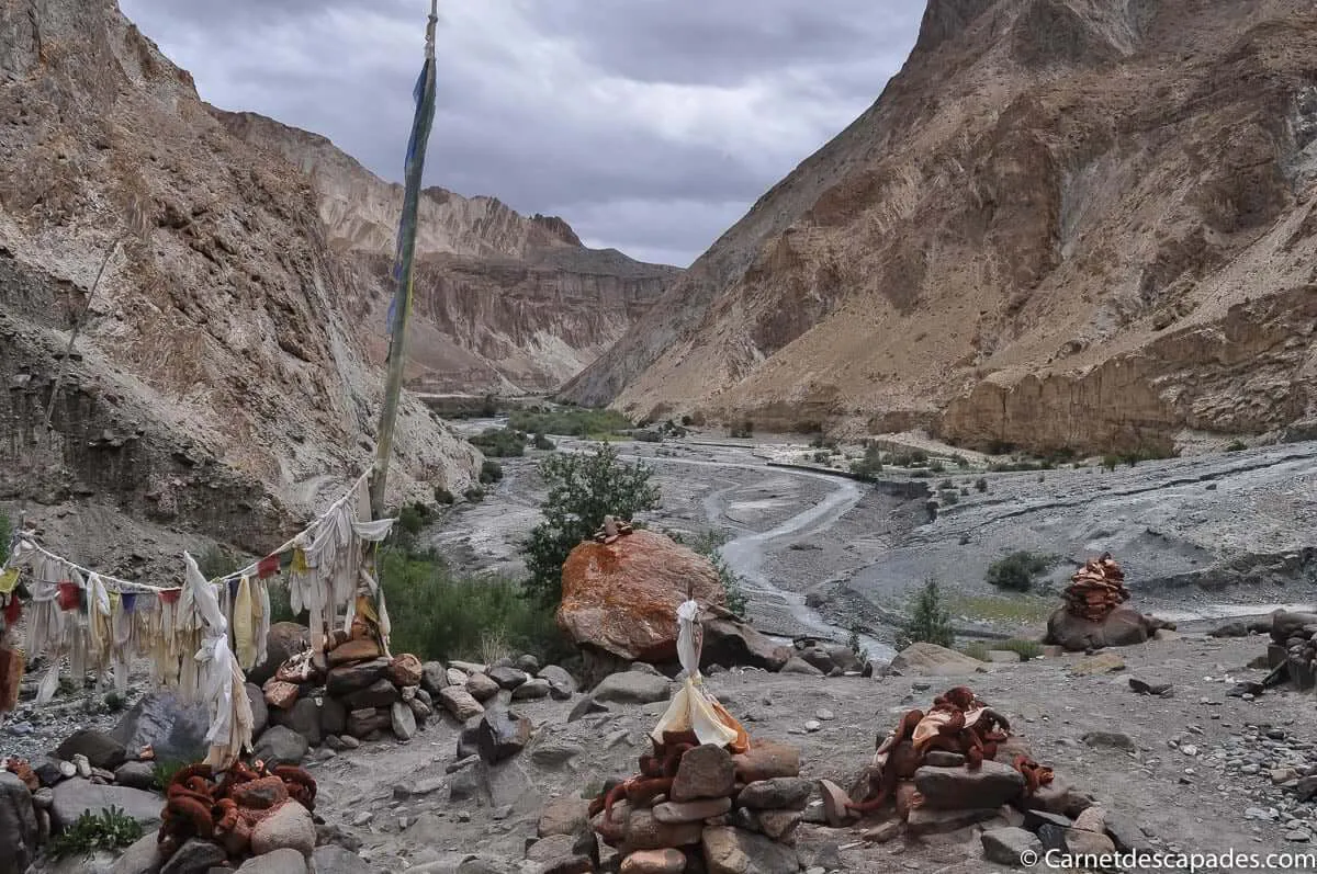 markha-ladakh
