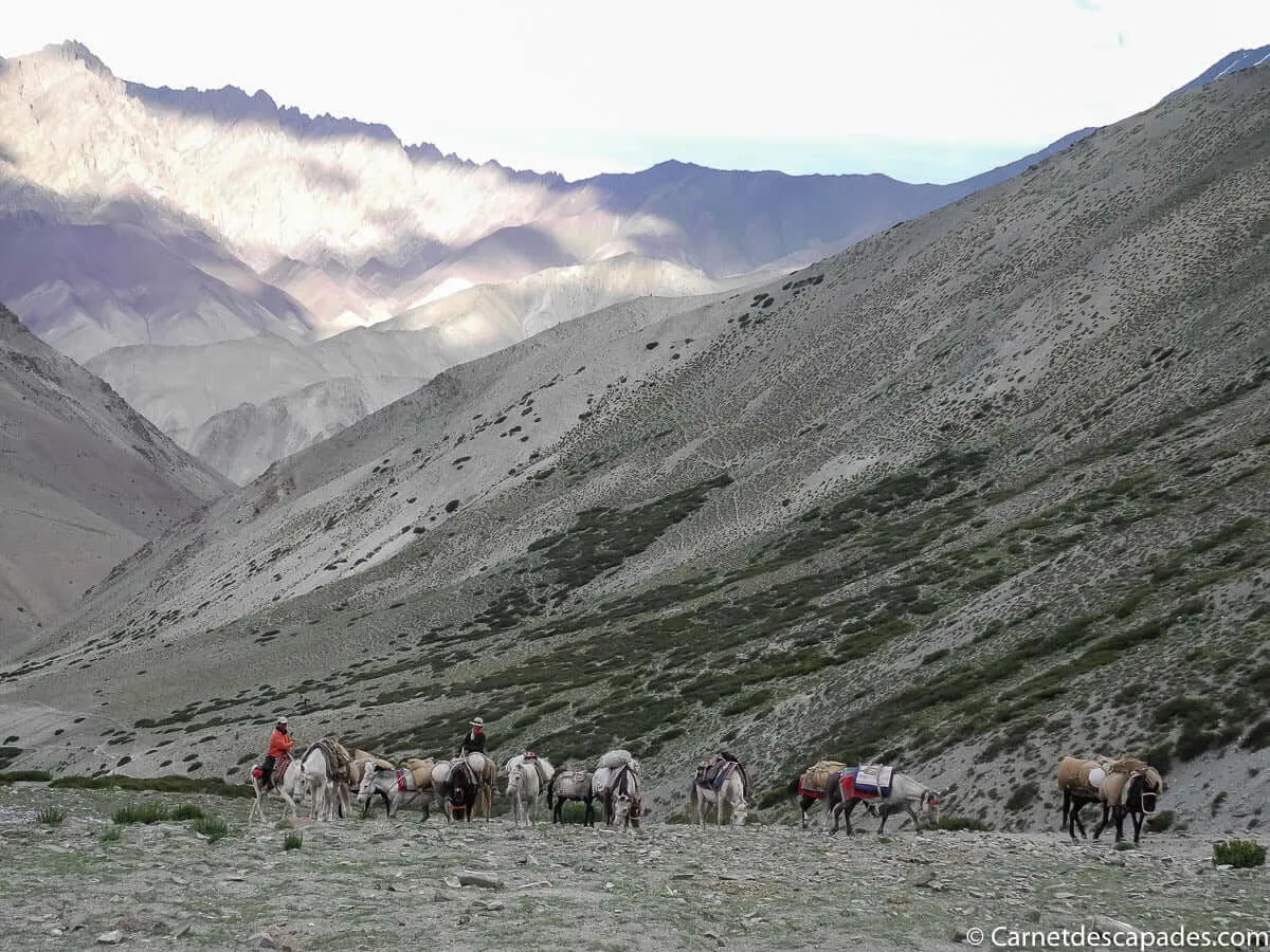 paysages-montagne-ladakh