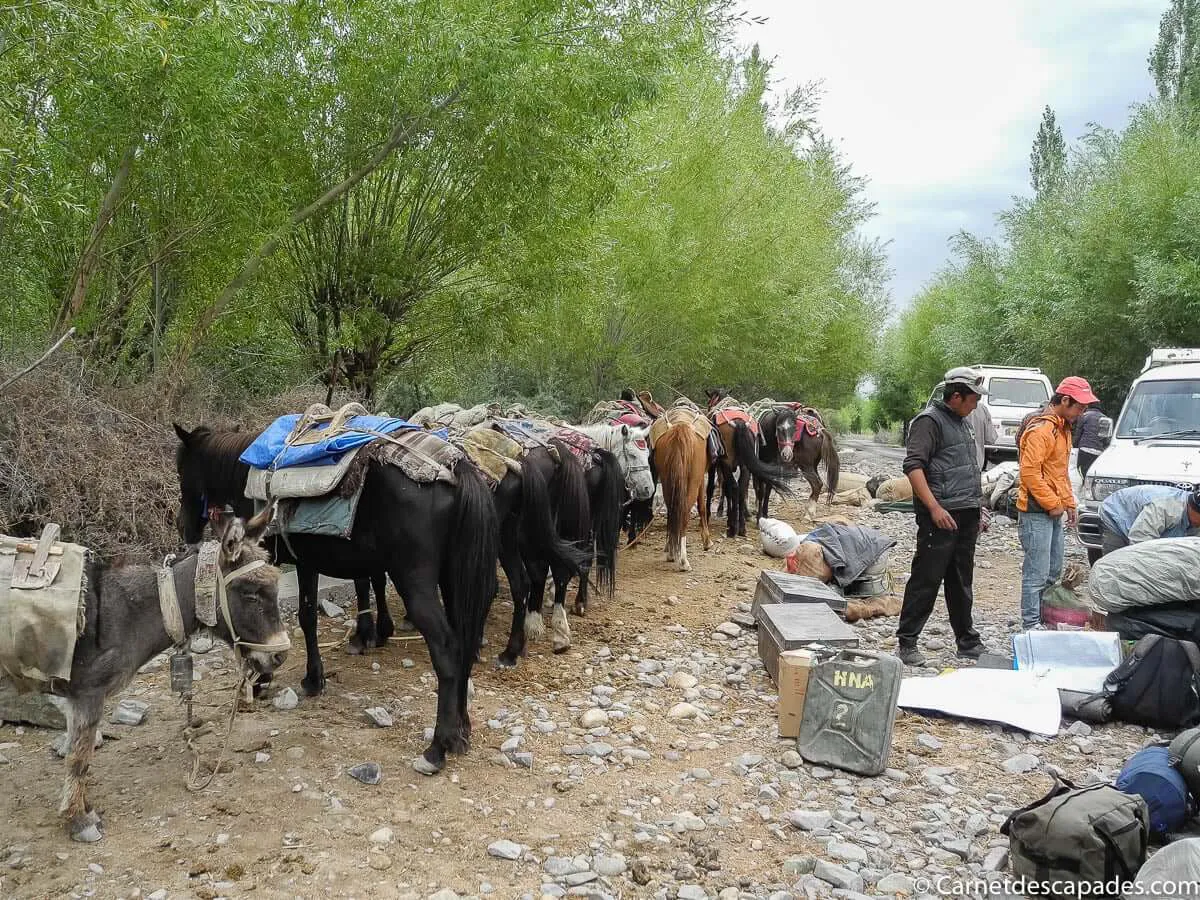 preparatifs-trek-ladakh
