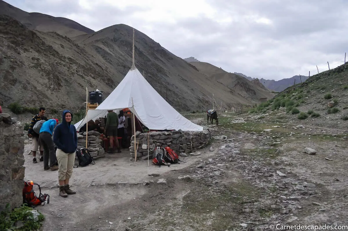 teahouse-ladakh