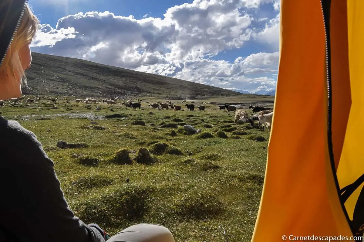 trek-ladakh