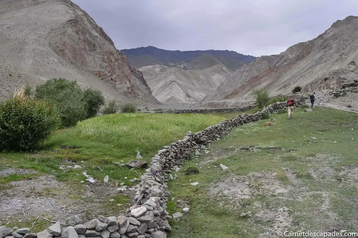 trek-vallee-markha