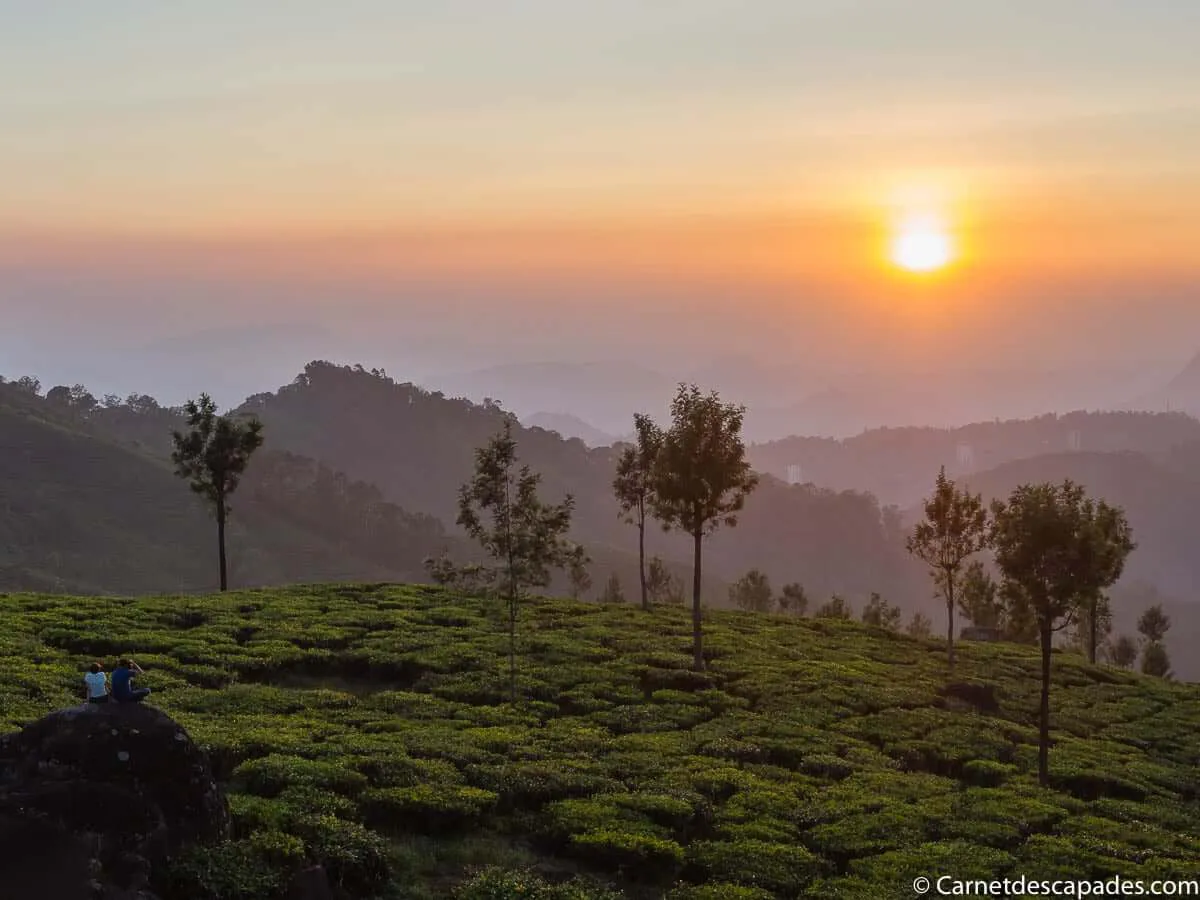 coucher-soleil-plantations-the-munnar