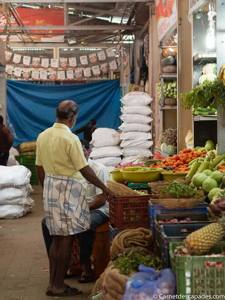 munnar-marche-legumes