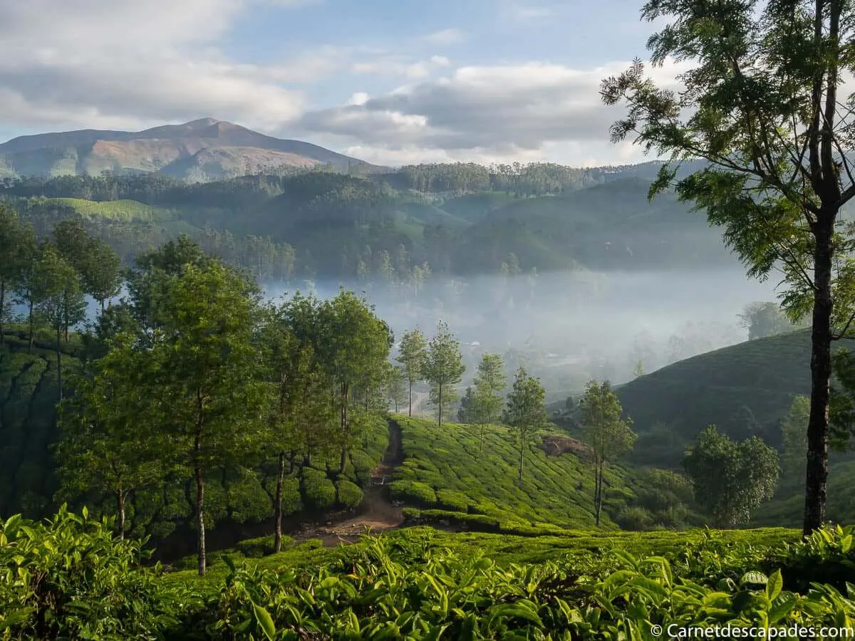 camps-the-kerala