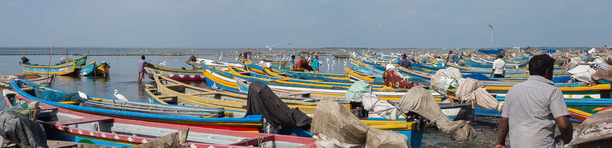 bateaux jaffna