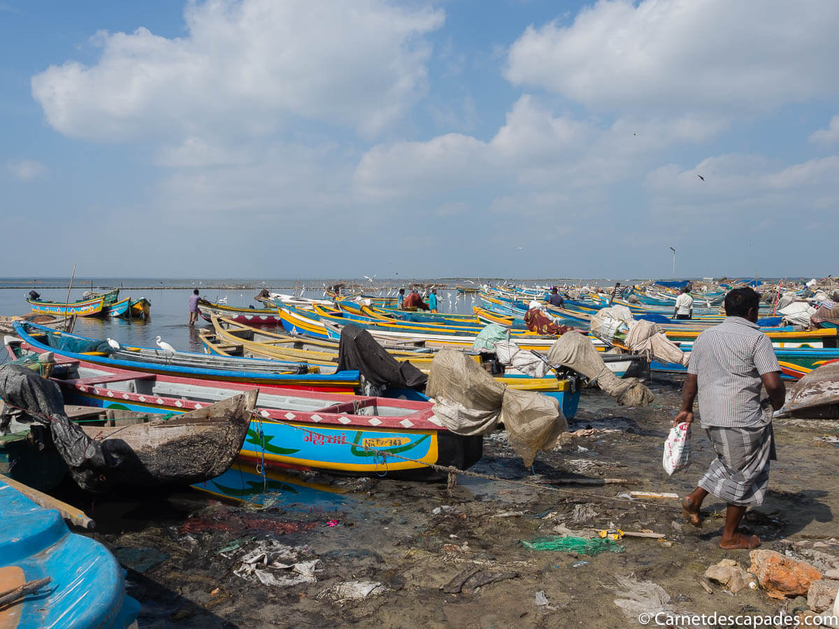 bateaux-jaffna