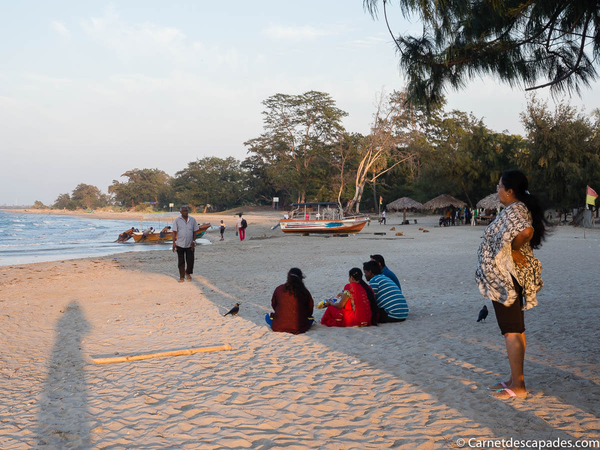casuarina-jaffna-plage