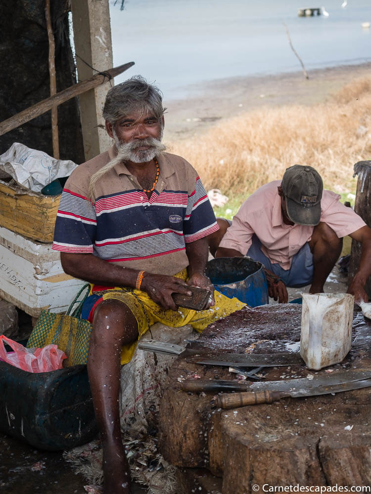 jaffna-marche-poissons