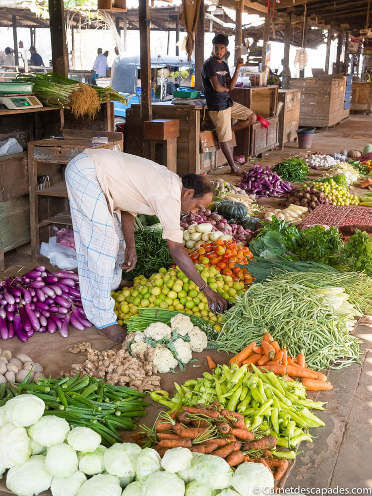 marche-legumes-jaffna