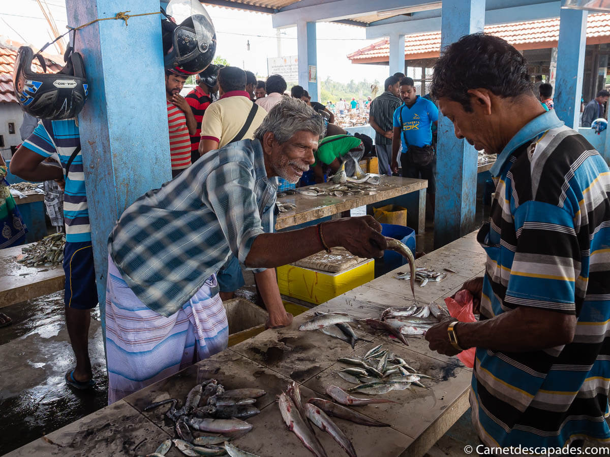 marche-poissons-jaffna