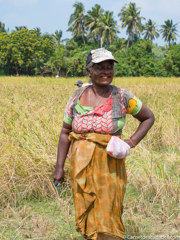 paysanne-sri-lanka