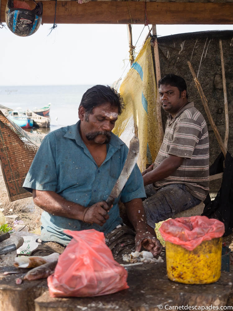 pecheur-jaffna-sri-lanka