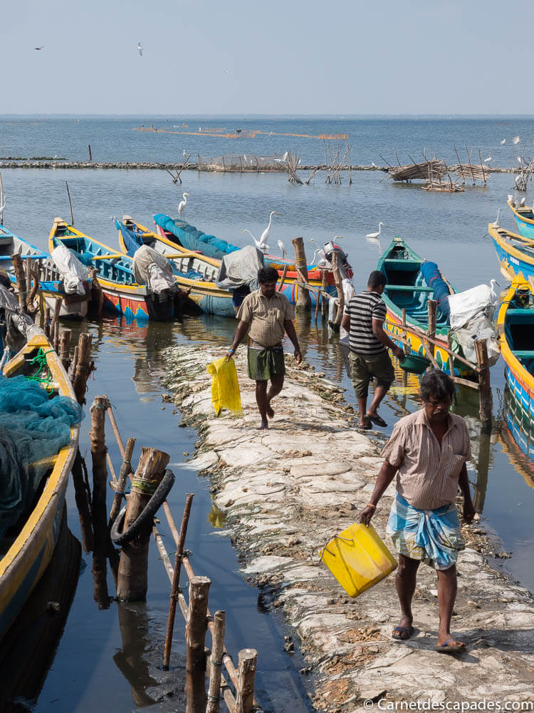 pecheurs-jaffna