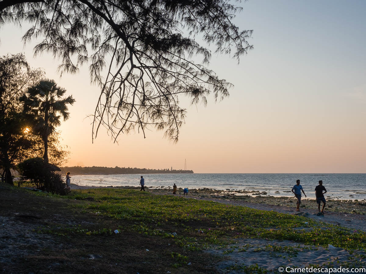 plage-casuarina-jaffna