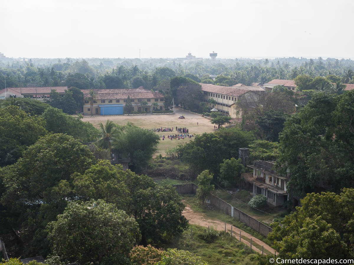 vue-jaffna-jetwing