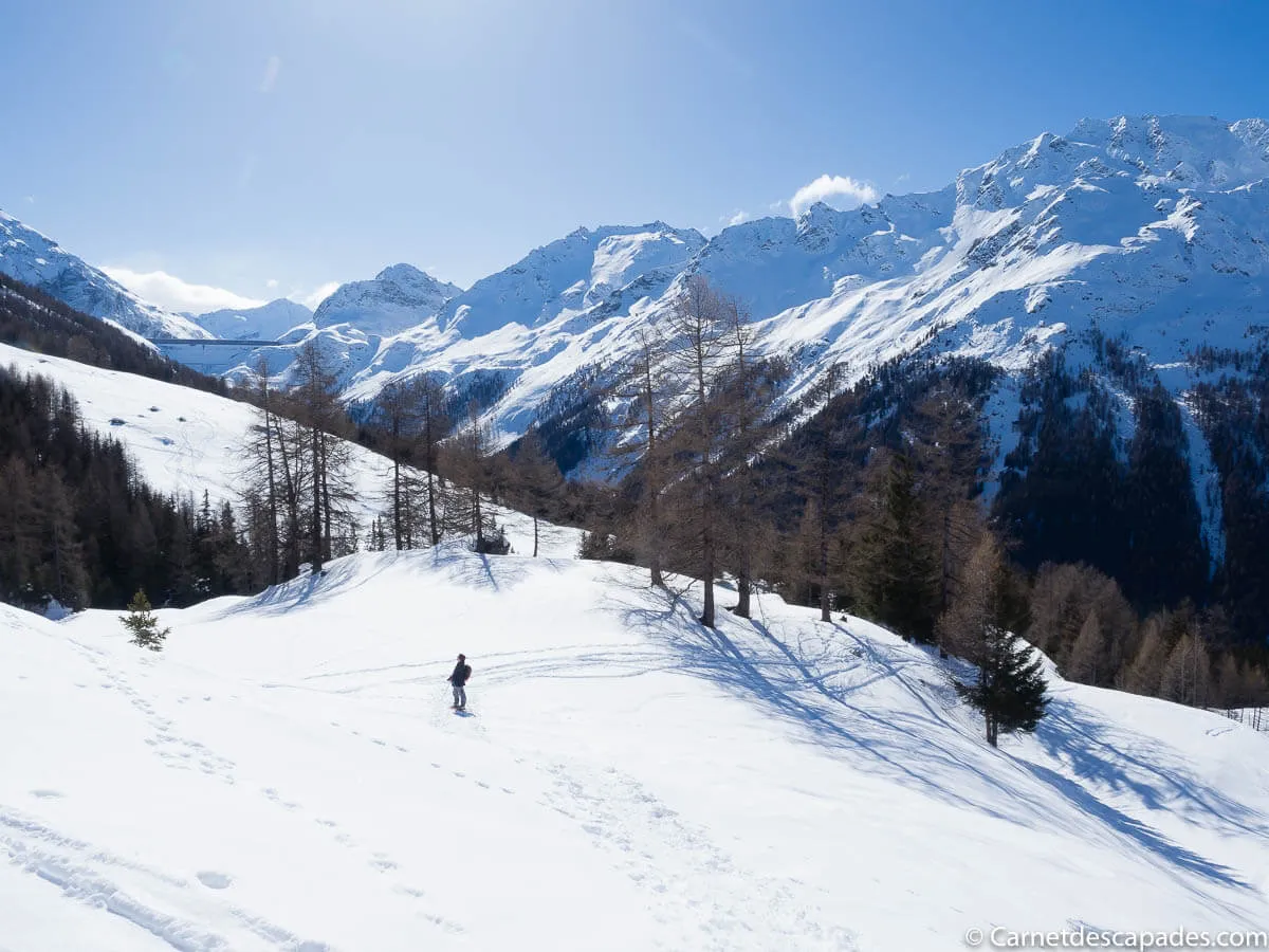 sentier-raquettes-mandelon
