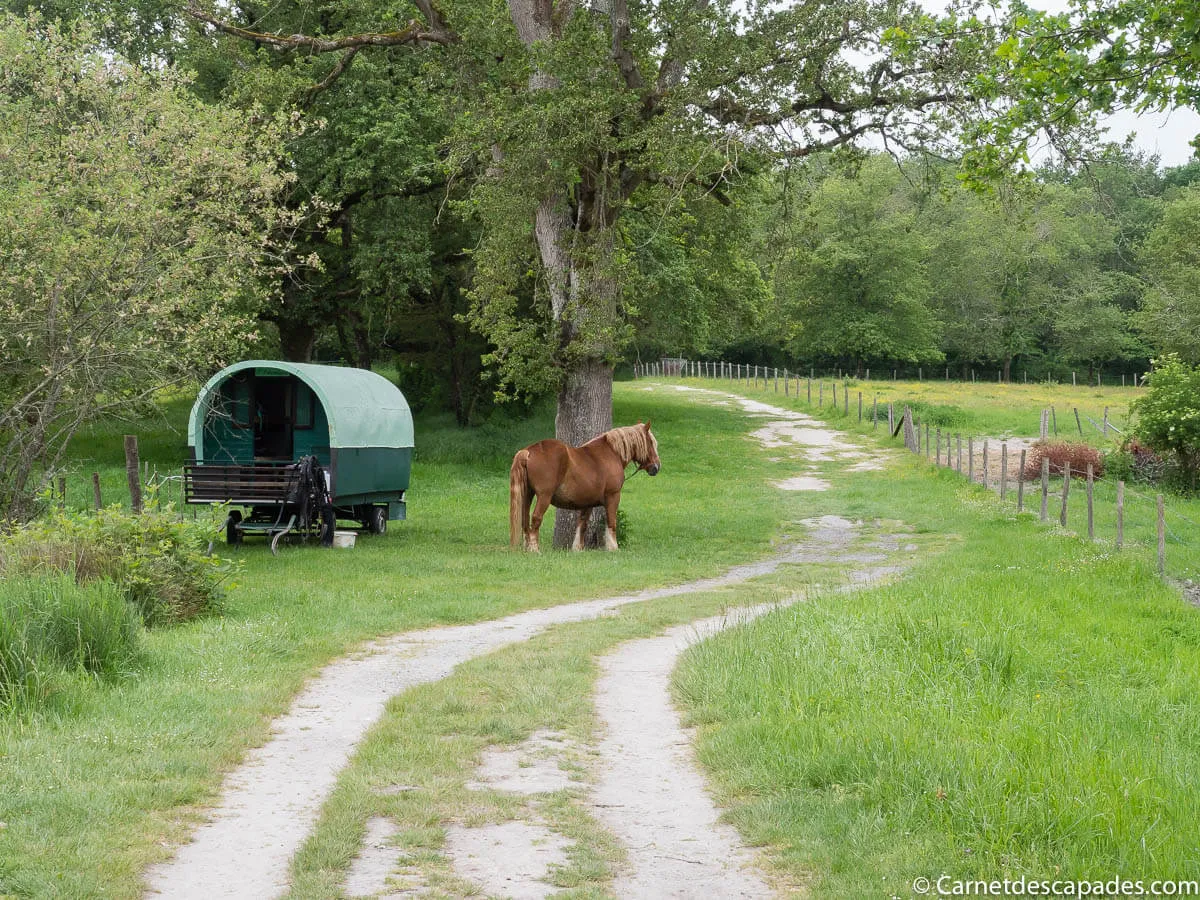 arret-roulotte-maison-parc-brenne