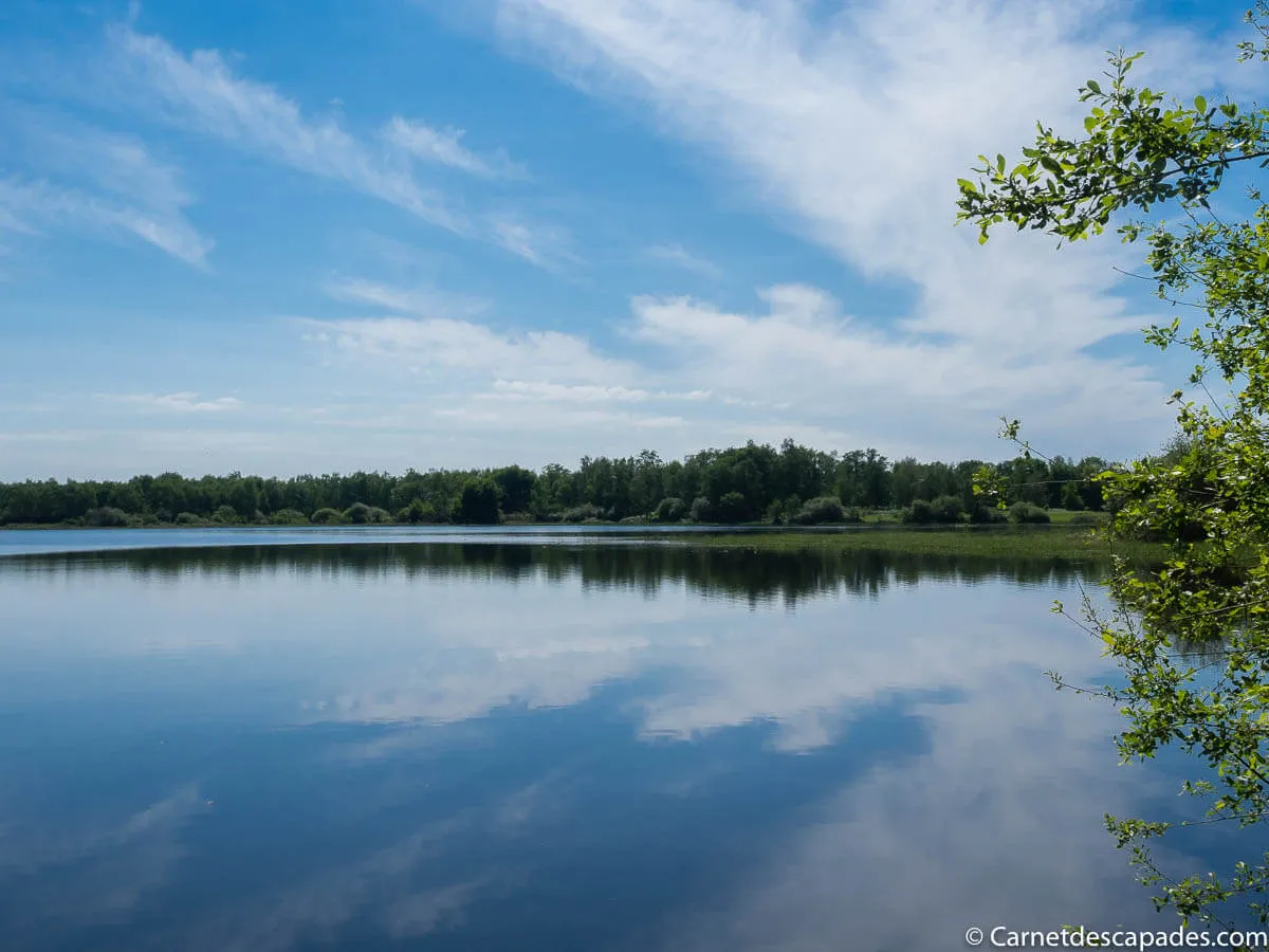 etang-reflets-parc-brenne