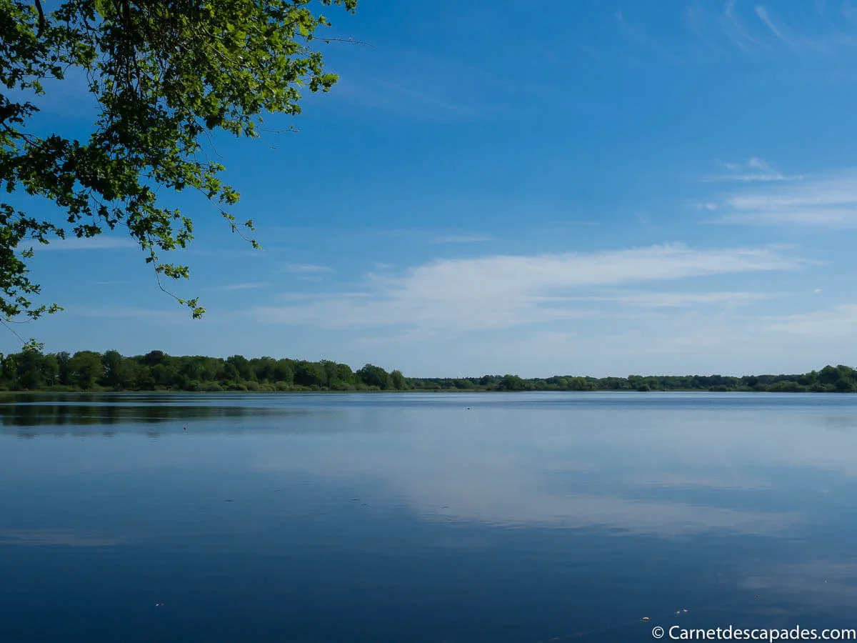 parc-brenne-etang-berry