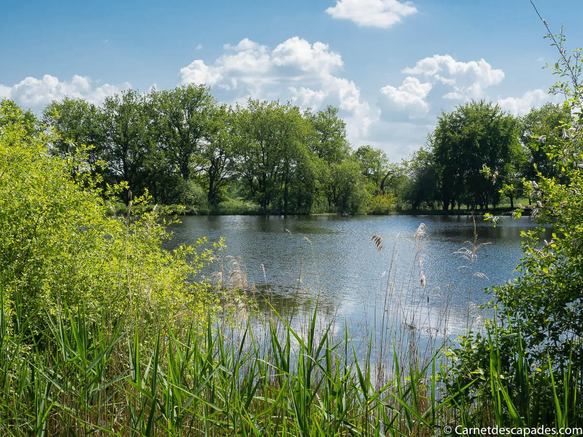 paysage-brenne